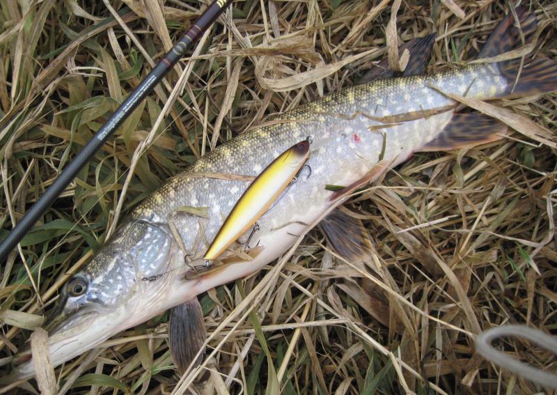 MOVER 128SP Щука 2.jpg MOVER 128SP Щука 2.jpg