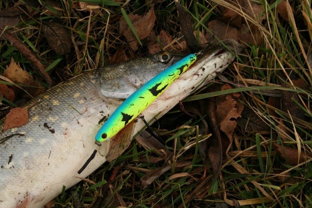 TsuYoki HARD 130SP Щука3.jpg TsuYoki HARD 130SP Щука3.jpg