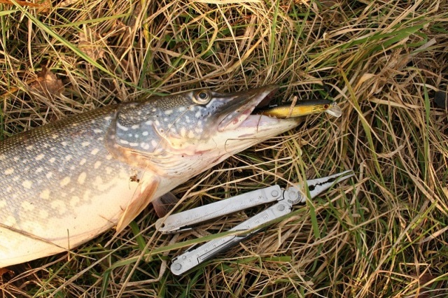 TsuYoki HARD 130SP Щука4.jpg TsuYoki HARD 130SP Щука4.jpg